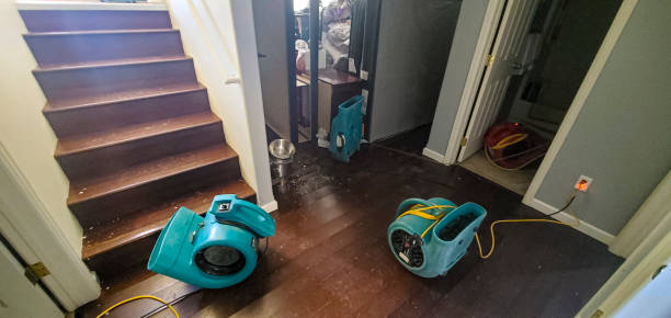 Trusted OR Water damage restoration Experts