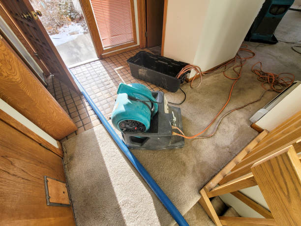 Best Water damage contractors near me  in Reedspt, OR